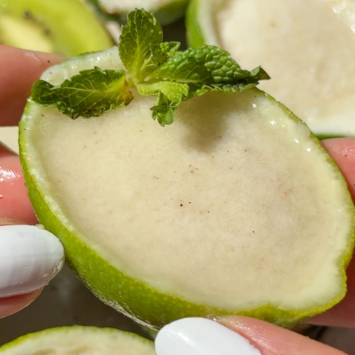 Easy Lime Sorbet – Veggie World Recipes