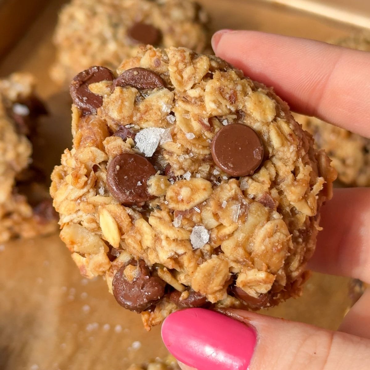 Vegan Oatmeal Cookies with Chocolate Chips