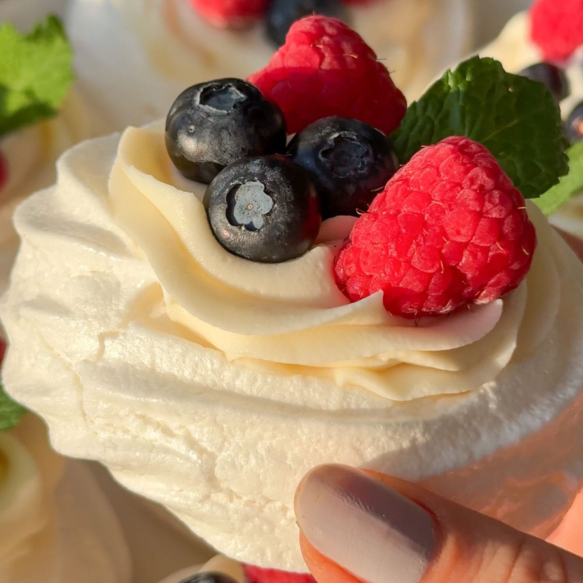 Vegan Pavlova – Veggie World Recipes