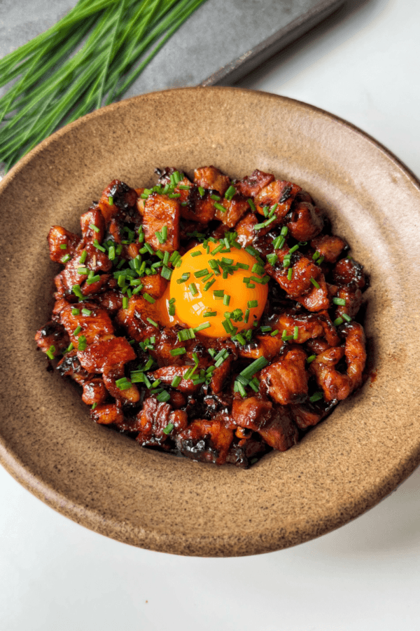 Butadon (Japanese-Style Pork Bowl) | Myriad Recipes