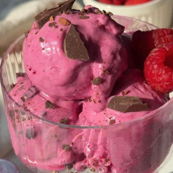 Refreshing Raspberry Sorbet – Veggie World Recipes