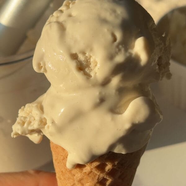 Tropical Coconut Sorbet – Veggie World Recipes