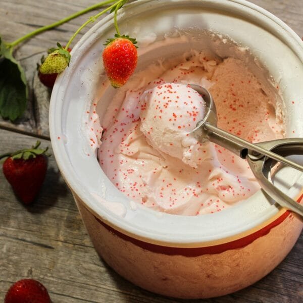 Comparatif des meilleures sorbetières et turbines à glace