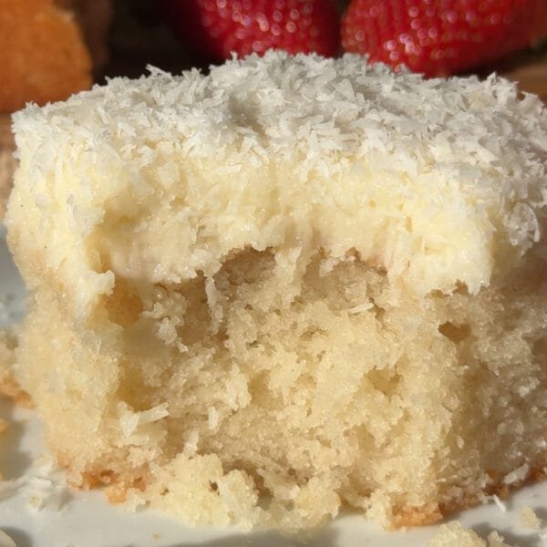 Vegan Coconut Cake – Veggie World Recipes
